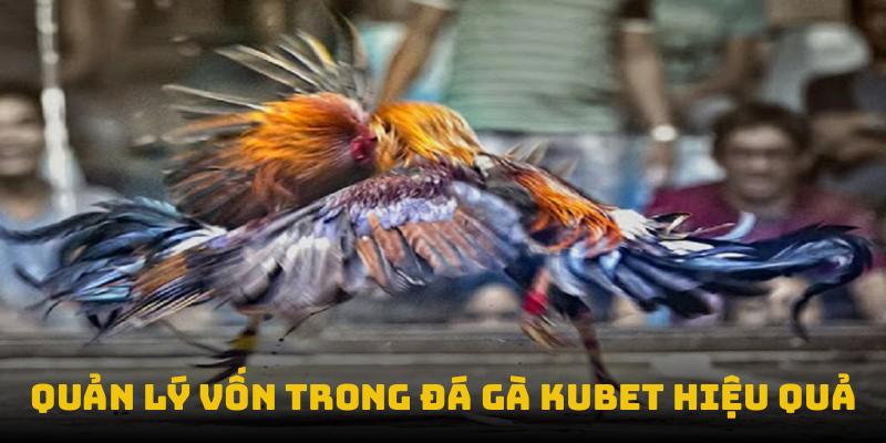 Quản lý vốn trong đá gà Kubet hiệu quả